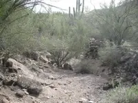 Ruins of Stoneman's remount station 1870.jpg