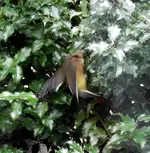 K1600_DSCN1615.webp