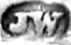 JW-JamesWintle.webp