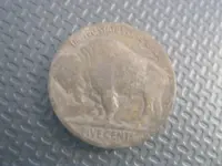 452017 Buffalo2.webp