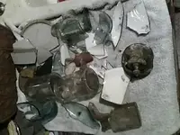 1491419365842.webp