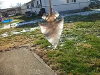 100_1150.webp