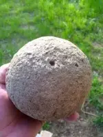 Stone.webp