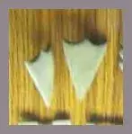 2.webp