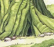 treehole.webp