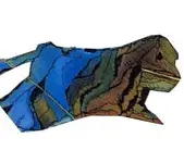 dog.webp