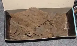 Boxofcrap.webp
