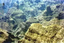 .jpgfolding downi western barranca.webp