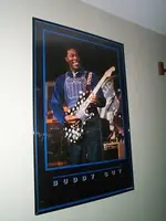 buddy.webp
