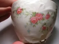 germancup.webp