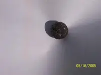 Meteorite 005 (Small).webp