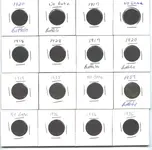 Buffaloes 2.webp