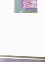 scan0009.webp