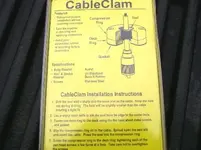 clam1.webp
