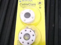 clam2.webp
