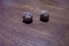 nuts.webp