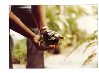 rough diamond.webp