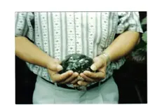 rough diamondb.webp