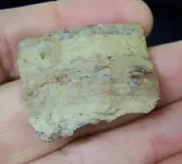 paleo3.webp