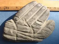 sinew stone.webp