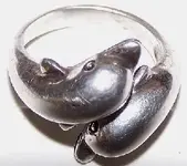 Dolphin2.webp