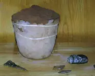 Fresh found pot.webp