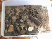 todays finds metal detecting 027.webp