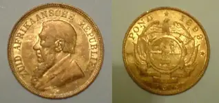 Gold coin complete.webp