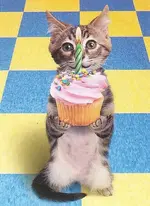 Cupcake.webp