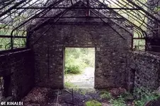 CORNISH-03.webp