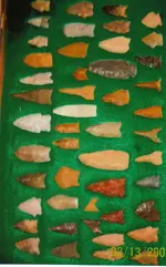 some paleo.webp