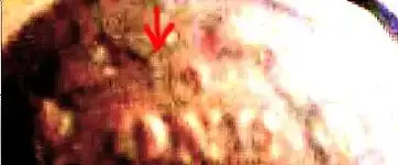012008_1226cival.webp