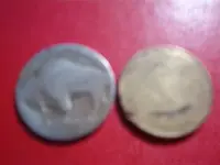 blank coin 006.webp