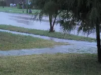 rain2.webp
