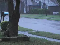 rain3.webp