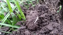 20170418_133650.webp