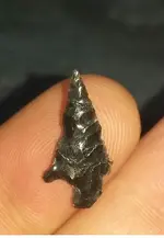 teeny.webp