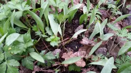 20170418_100836.webp