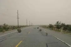 Tumbleweeds.webp