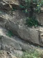 ImageUploadedByTreasureNet.com1490669162.579064.webp
