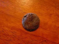 DSC01340.webp
