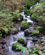 gardner ridge 052.webp