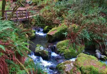 gardner ridge 050.webp