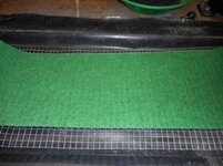 green matting.JPG