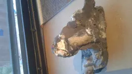 1489452679284.webp