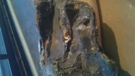 1489452854934.webp