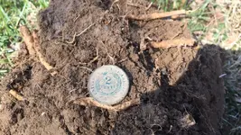 2_Cent_Piece.webp