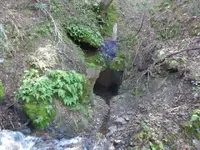 Mine shaft.webp
