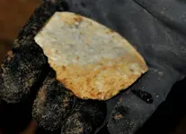 Chert.webp