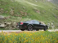 IMG_0495.webp